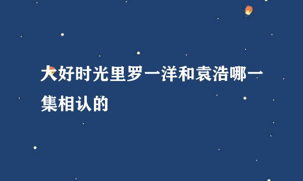 大好时光里罗一洋和袁浩哪一集相认的