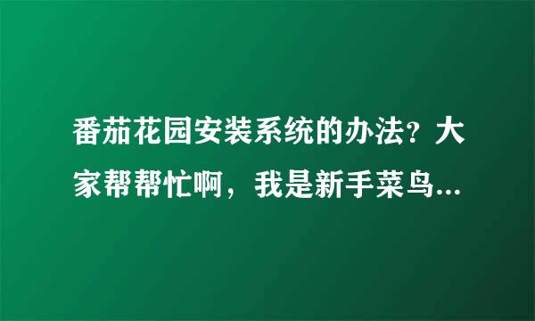 番茄花园安装系统的办法？大家帮帮忙啊，我是新手菜鸟很苦恼。