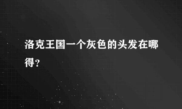 洛克王国一个灰色的头发在哪得？