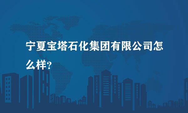 宁夏宝塔石化集团有限公司怎么样？