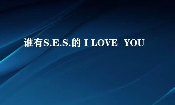 谁有S.E.S.的 I LOVE  YOU