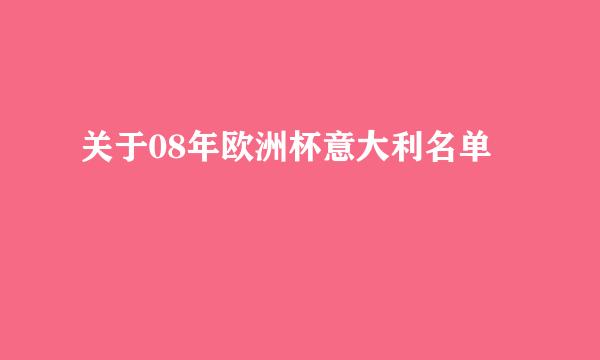 关于08年欧洲杯意大利名单