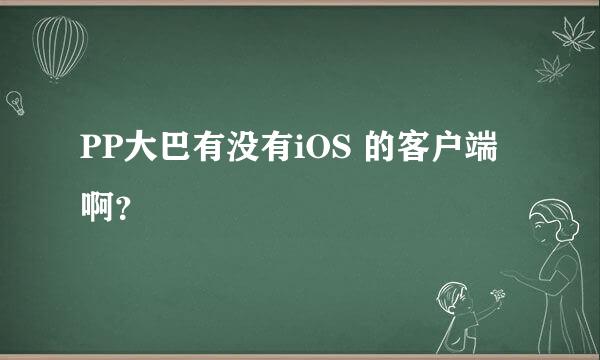 PP大巴有没有iOS 的客户端啊？