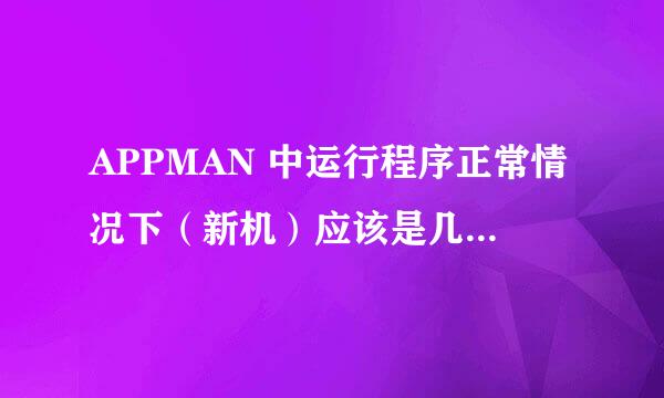 APPMAN 中运行程序正常情况下（新机）应该是几个？各是什么？