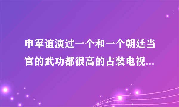 申军谊演过一个和一个朝廷当官的武功都很高的古装电视剧叫什么