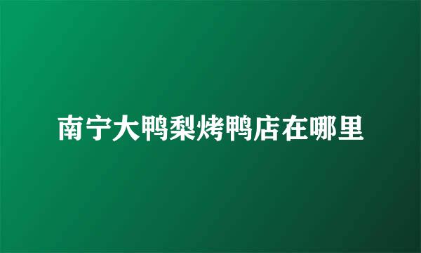 南宁大鸭梨烤鸭店在哪里