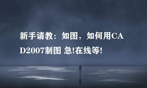 新手请教：如图，如何用CAD2007制图 急!在线等!