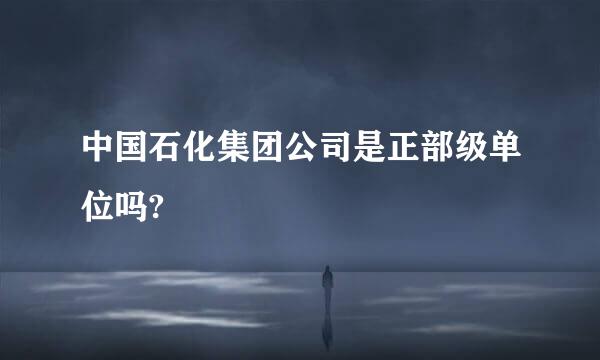 中国石化集团公司是正部级单位吗?