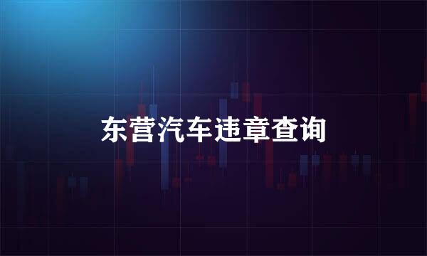 东营汽车违章查询