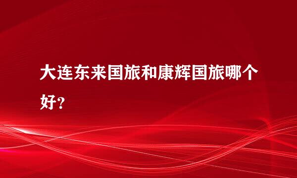 大连东来国旅和康辉国旅哪个好？