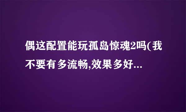 偶这配置能玩孤岛惊魂2吗(我不要有多流畅,效果多好,只要能凑和玩就好了.能凑和就写能玩,并说明一下)