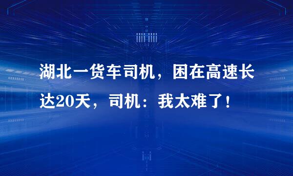 湖北一货车司机，困在高速长达20天，司机：我太难了！