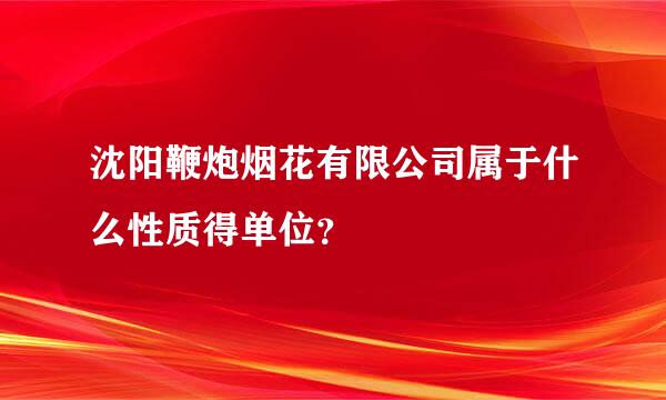 沈阳鞭炮烟花有限公司属于什么性质得单位？