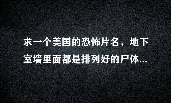 求一个美国的恐怖片名，地下室墙里面都是排列好的尸体，身上有数字还是字母，片里男猪脚叫matt or matty