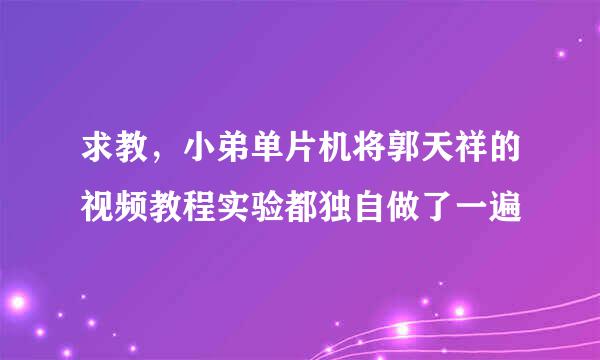 求教，小弟单片机将郭天祥的视频教程实验都独自做了一遍