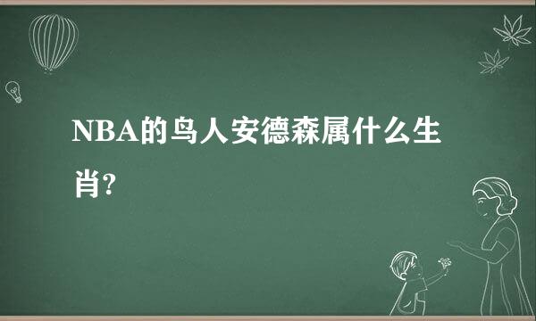 NBA的鸟人安德森属什么生肖?