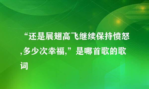 “还是展翅高飞继续保持愤怒,多少次幸福,”是哪首歌的歌词