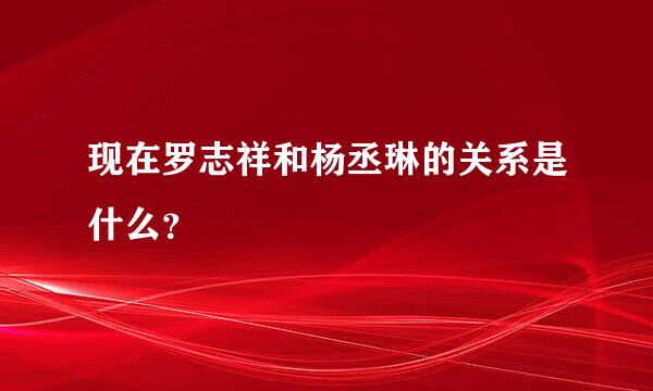 现在罗志祥和杨丞琳的关系是什么？