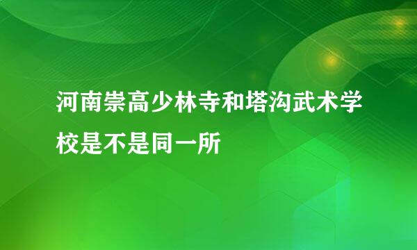 河南崇高少林寺和塔沟武术学校是不是同一所