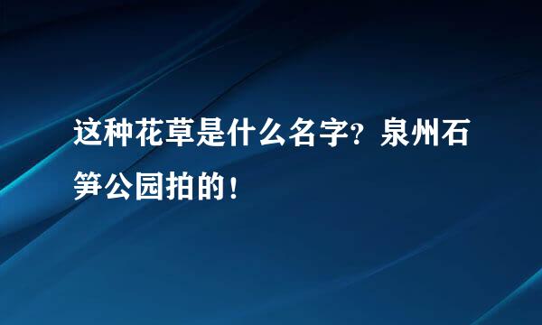 这种花草是什么名字？泉州石笋公园拍的！