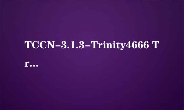 TCCN-3.1.3-Trinity4666 TrinityRealm.exe启动之后一闪就没了