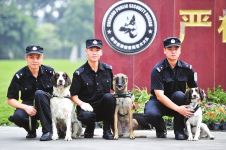 我国每年会牺牲多少缉毒警察？