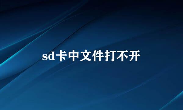 sd卡中文件打不开