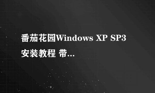 番茄花园Windows XP SP3 安装教程 带图 可以留QQ