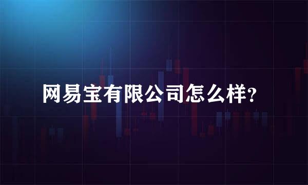 网易宝有限公司怎么样？