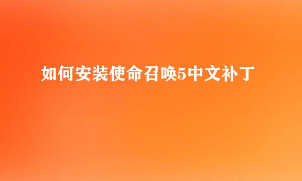 如何安装使命召唤5中文补丁