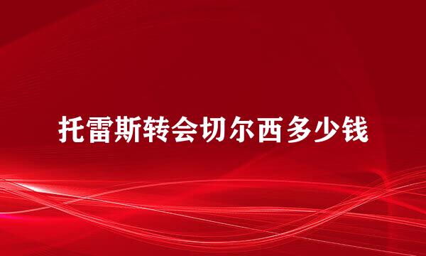 托雷斯转会切尔西多少钱