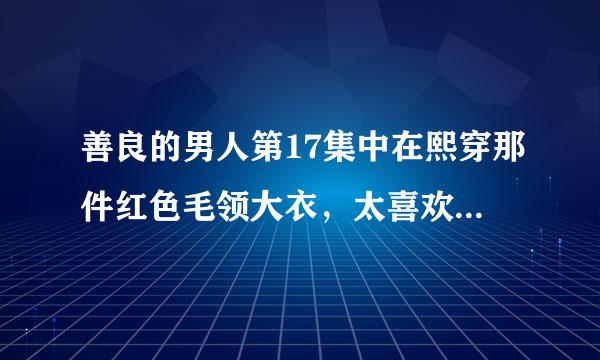 善良的男人第17集中在熙穿那件红色毛领大衣，太喜欢了，有连接没？求同款地址。。。