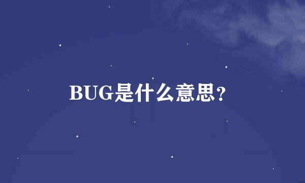 BUG是什么意思？