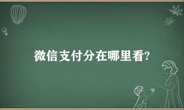 微信支付分在哪里看?