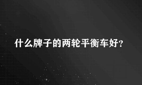 什么牌子的两轮平衡车好？