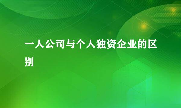 一人公司与个人独资企业的区别