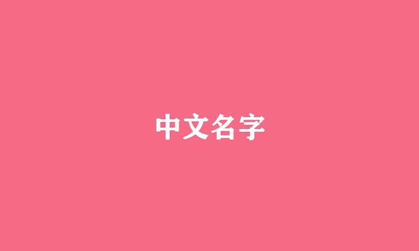 中文名字