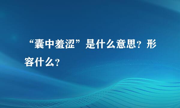 “囊中羞涩”是什么意思？形容什么？