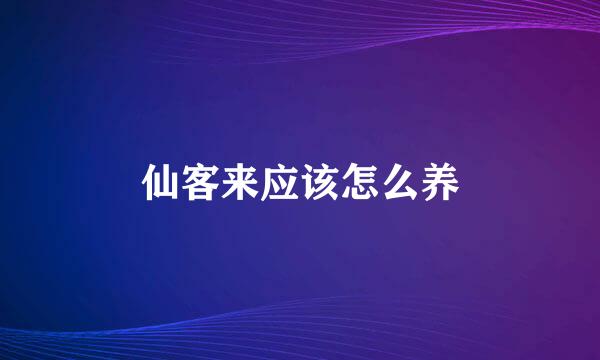 仙客来应该怎么养