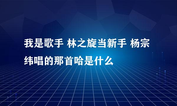 我是歌手 林之旋当新手 杨宗纬唱的那首哈是什么