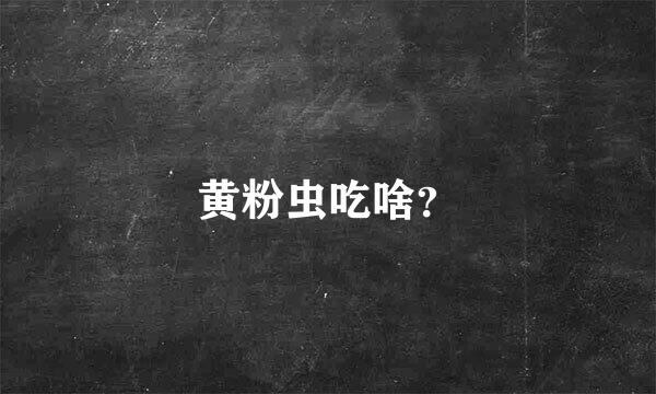 黄粉虫吃啥？