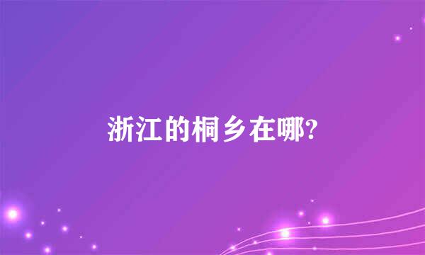 浙江的桐乡在哪?