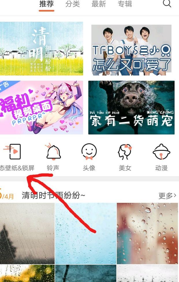 oppoR11怎么设置手机动态壁纸？