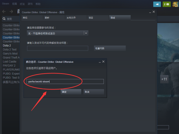 CSgo国服启动项设置后还是进不去