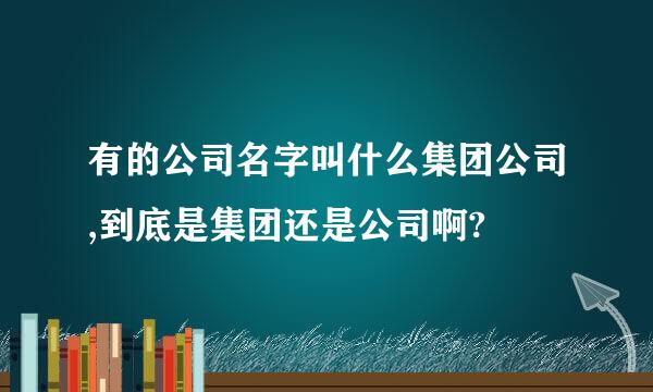 有的公司名字叫什么集团公司,到底是集团还是公司啊?