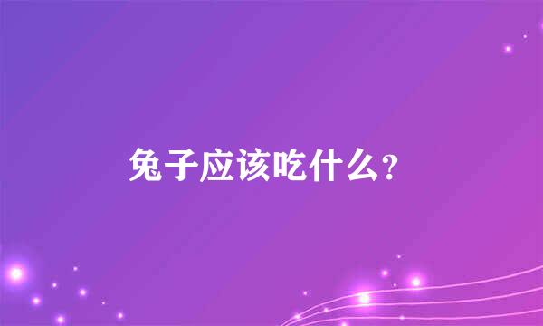 兔子应该吃什么？