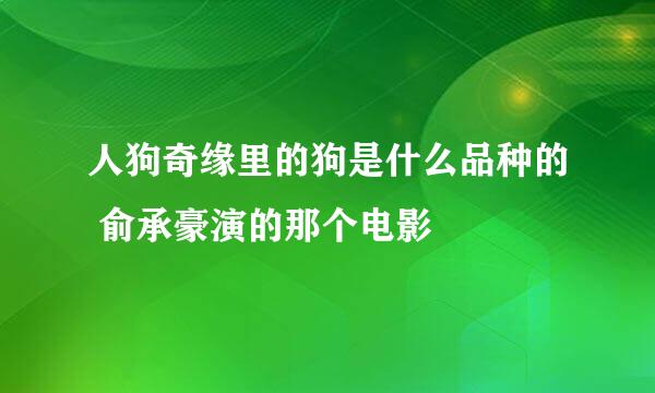 人狗奇缘里的狗是什么品种的 俞承豪演的那个电影