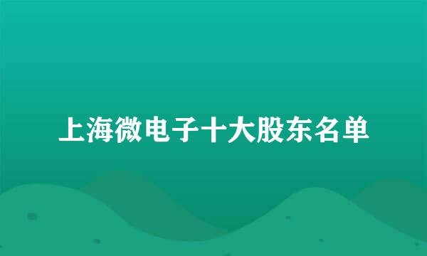 上海微电子十大股东名单