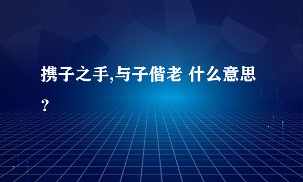 携子之手,与子偕老 什么意思？