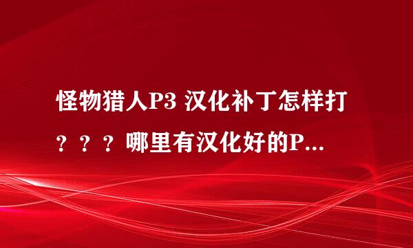 怪物猎人P3 汉化补丁怎样打？？？哪里有汉化好的P3游戏ISO???